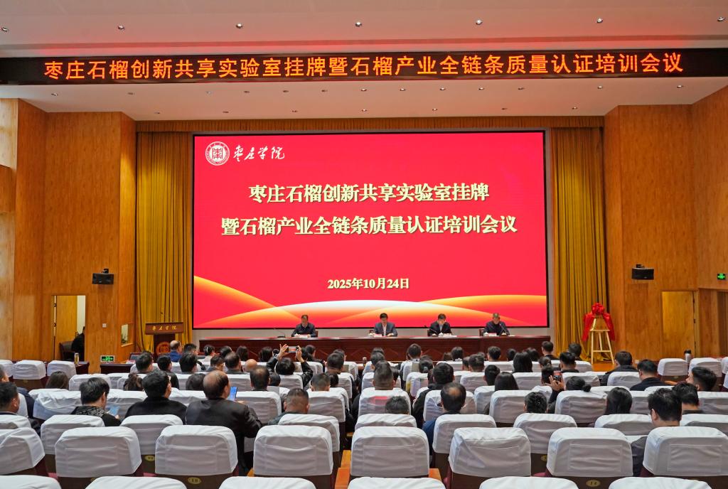 亚洲国产综合精品中文一区二区