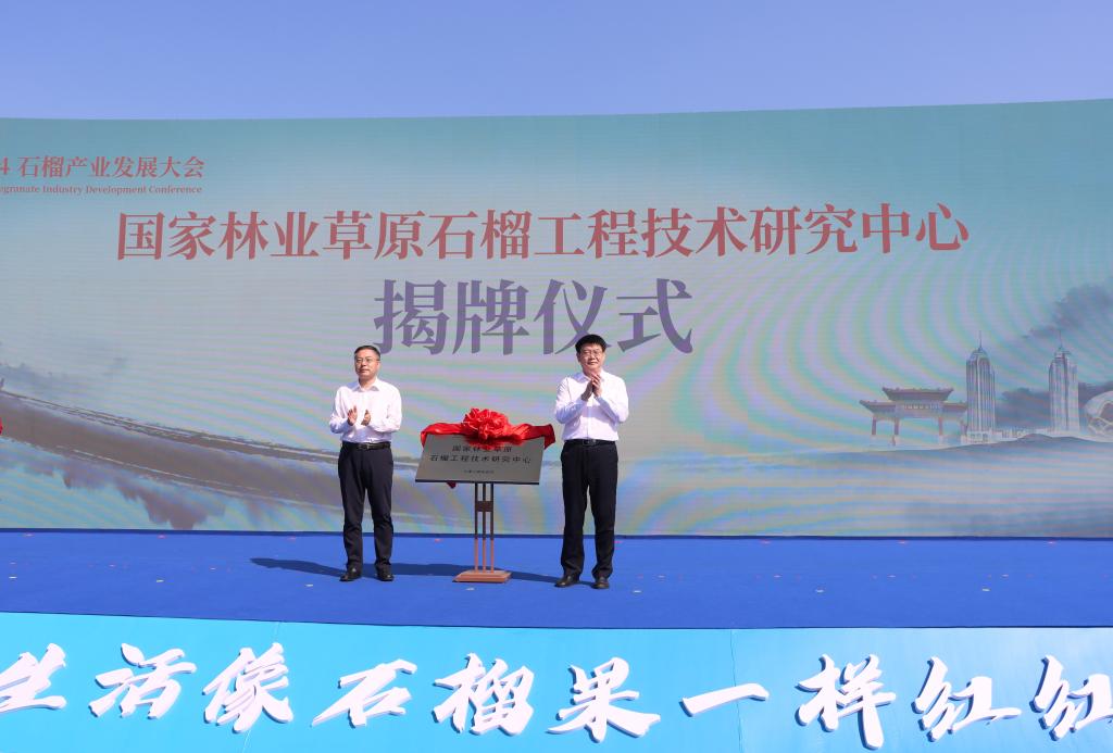 亚洲国产综合精品中文一区二区