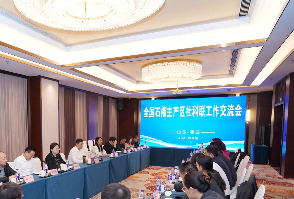 亚洲国产综合精品中文一区二区