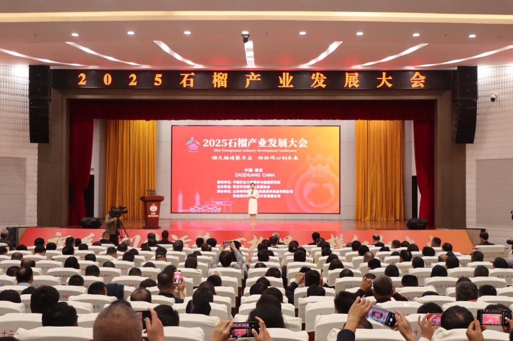 亚洲国产综合精品中文一区二区